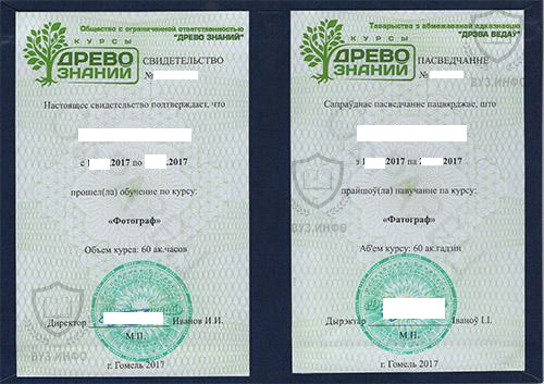Диплом об окончании курсов фотографа из г. Гомель (Беларусь) - центра Древо знаний (2017 г.)
